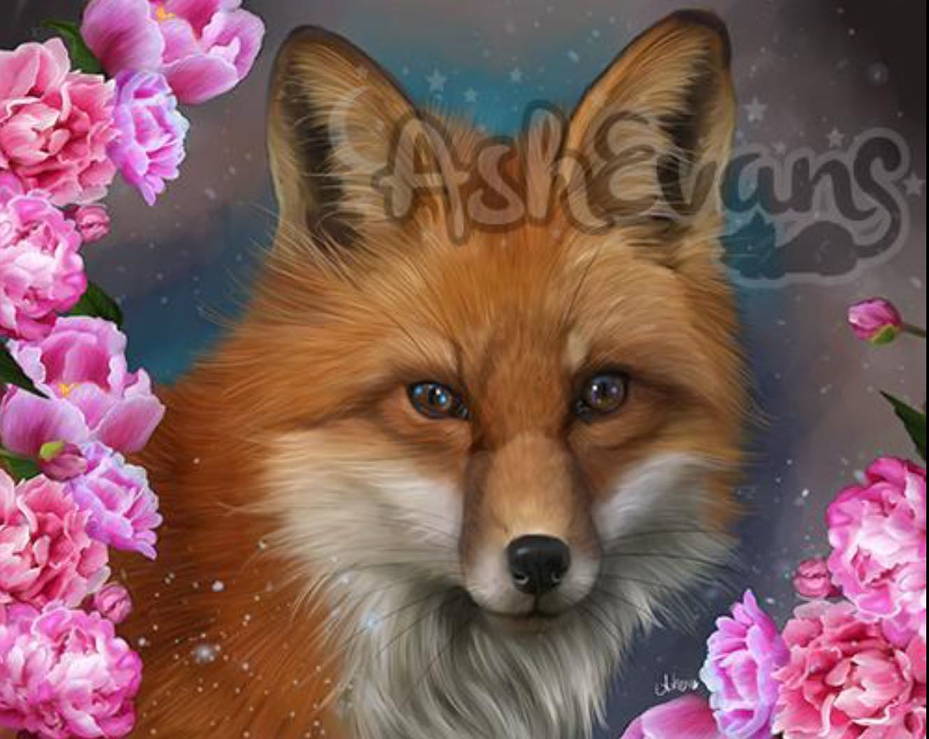 russet colored wild fox with pink peonies and a dark background